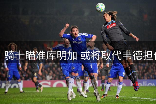 骑士瞄准库明加 或将取代韦德担任主力锋线